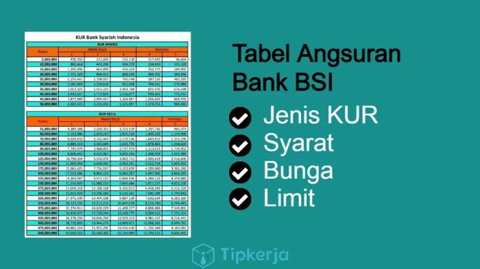 KUR Bank BSI Desember 2024 Intan Jaya