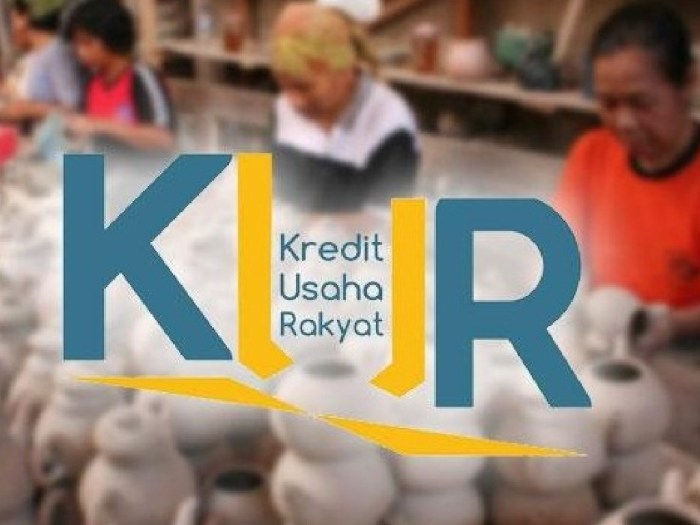 Apakah ada bank yang fokus pada penyaluran KUR di sektor tertentu?