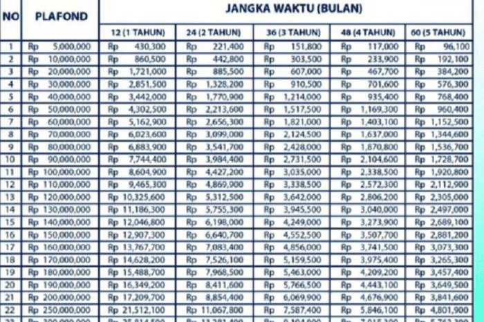 Berapa plafon KUR BRI yang bisa saya ajukan di Desember 2024?