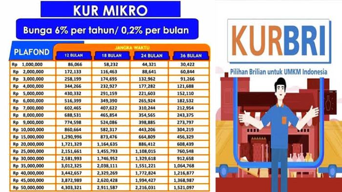 KUR BRI 2024 Padang Lawas Utara