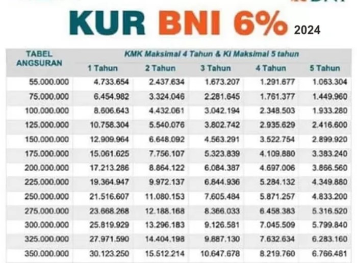 KUR BNI 2024 Aceh Tenggara