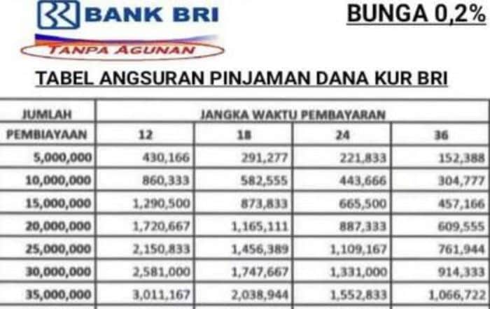 Tabel KUR BRI 2024 100 Juta