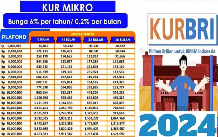 KUR BRI 2024 Aceh Besar