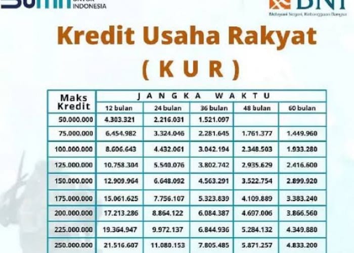 KUR BTN Desember 2024 Mesuji