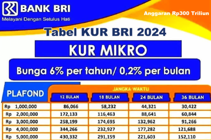 KUR BRI 2024 Tapanuli Tengah