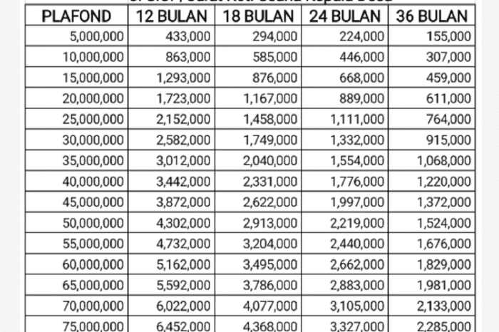 KUR BTN Desember 2024 Landak