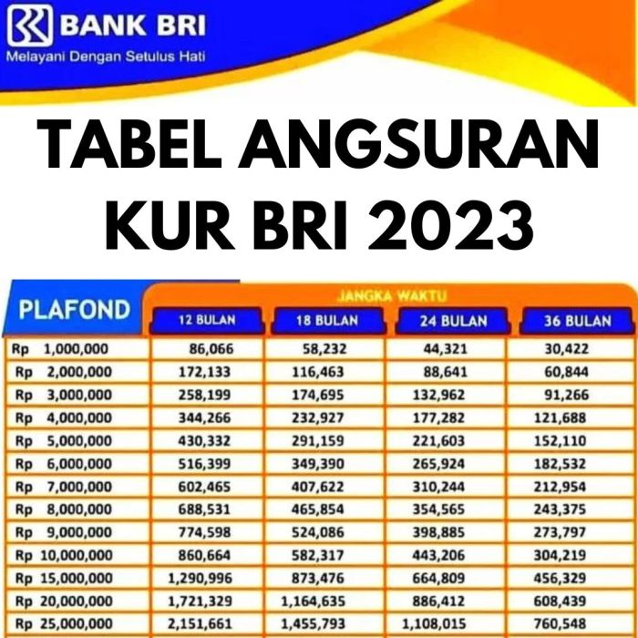 KUR BRI Desember 2024 di Papua