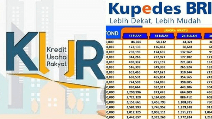 KUR BTN Desember 2024 Bireuen