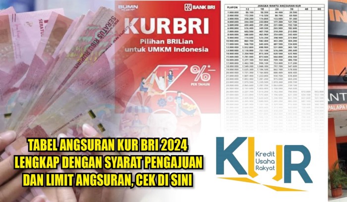 KUR BRI 2024 Tana Tidung