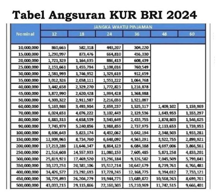 KUR BRI 2024 Bener Meriah