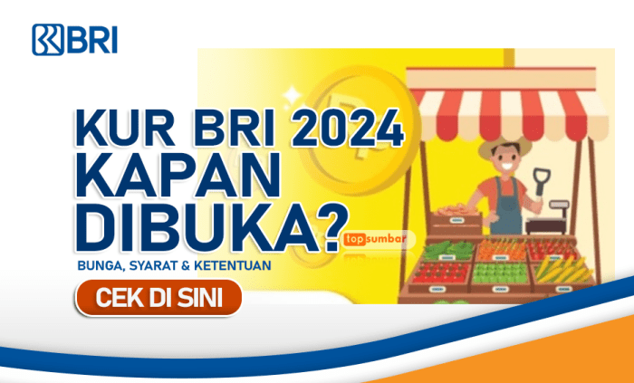 Kapan KUR BRI di Desember 2024 mulai bisa diajukan?