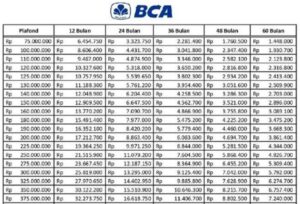 KUR BCA Desember 2024 Barito Kuala