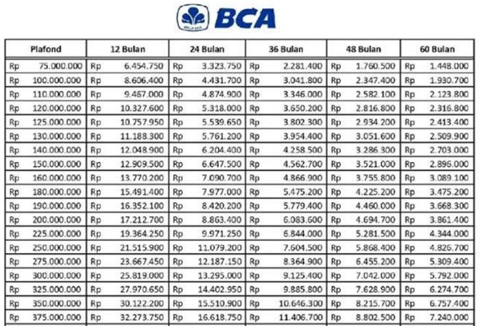 KUR BCA Desember 2024 Paniai