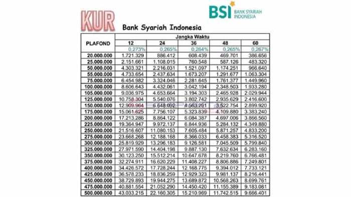 KUR Bank BSI Desember 2024 Bantaeng