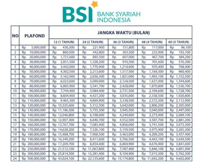 KUR Bank BSI Desember 2024 Tanjung Jabung Barat