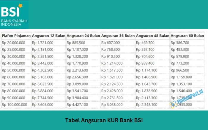 KUR Bank BSI Desember 2024 Kubu Raya