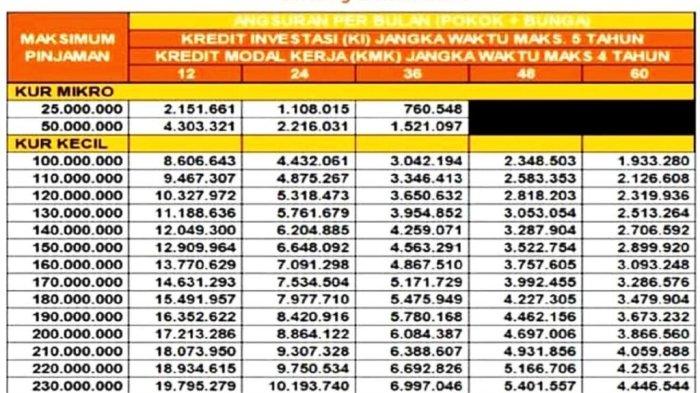 KUR BNI 2024 Jakarta