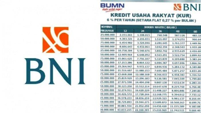 KUR BNI Desember 2024 Kepulauan Lingga