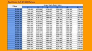 Tabel KUR BRI 2024 100 Juta