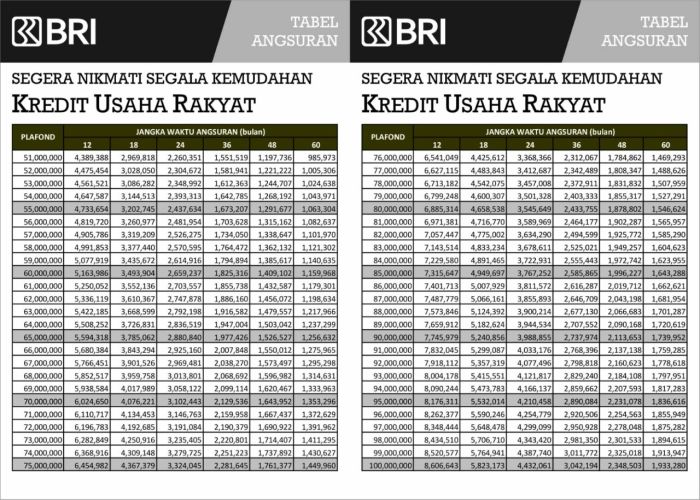 Berapa plafon pinjaman KUR Mikro?