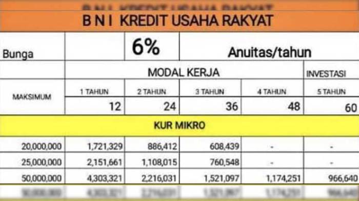 Pinjaman Online BNI KUR