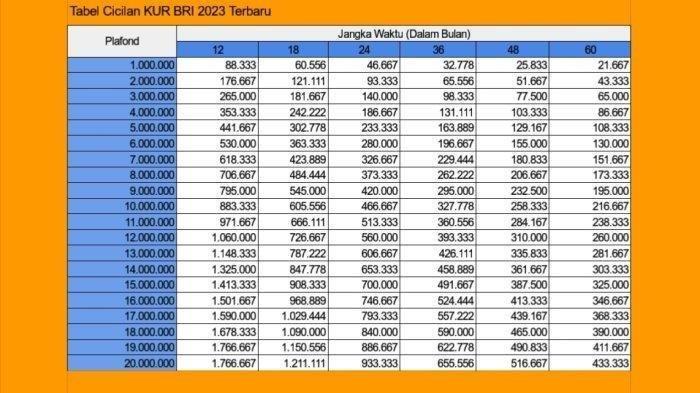 KUR Mikro BRI 2024