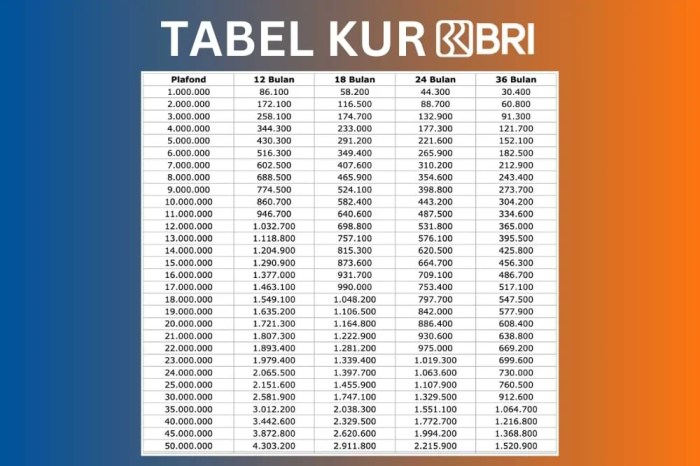 KUR BRI 2024 Ogan Komering Ilir