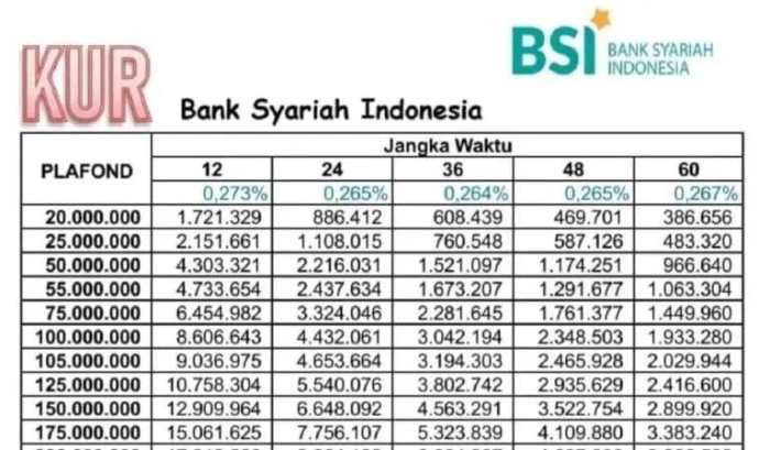 KUR Bank BSI Desember 2024 Bolaang Mongondow Selatan