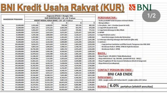 KUR BNI Desember 2024 Gunungsitoli