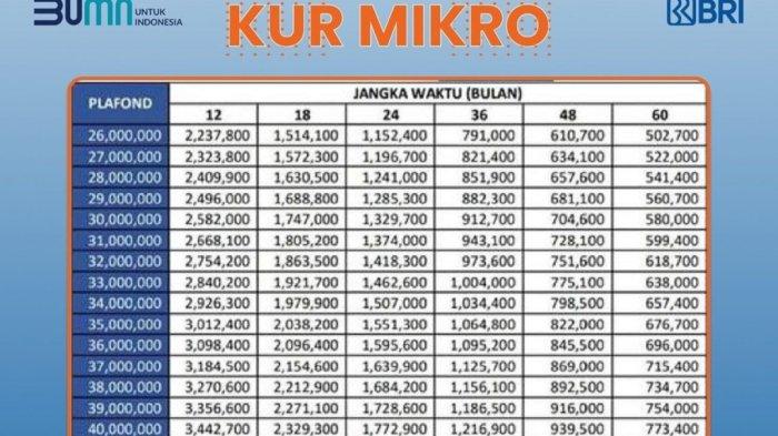 Apa itu KUR Mikro?