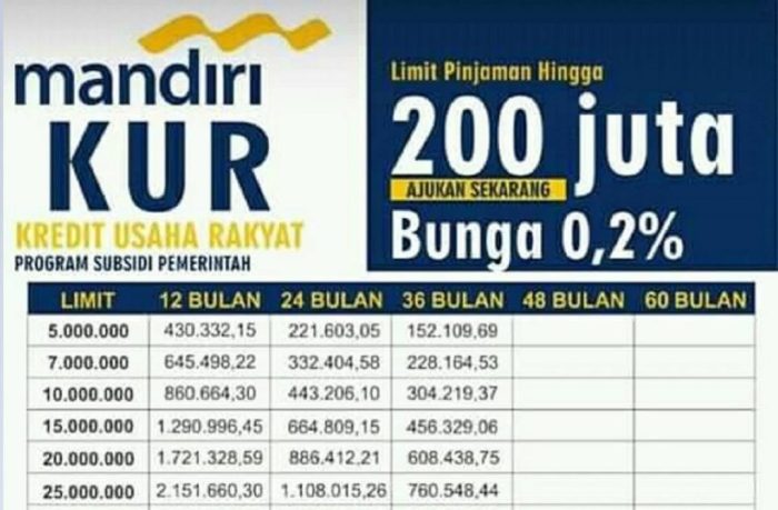 Berapa lama jangka waktu pinjaman KUR?