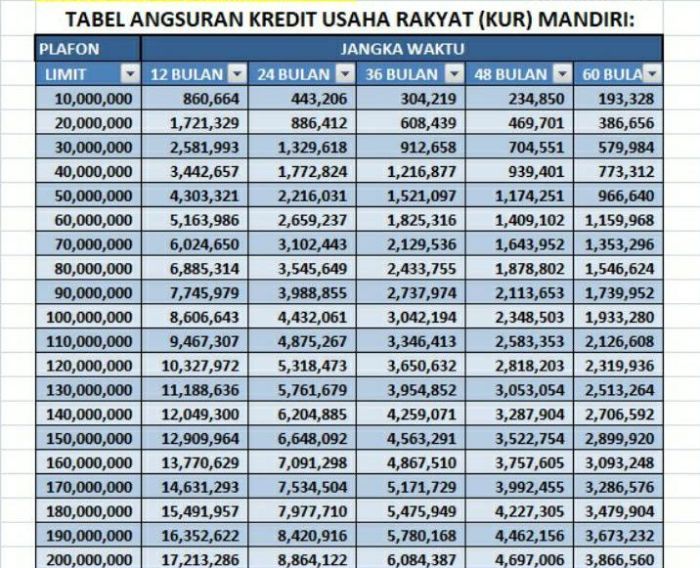 Apakah ada KUR Mandiri 2025 untuk UMKM?