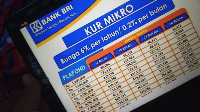 Bunga KUR BRI 2025 terbaru untuk usaha pertanian