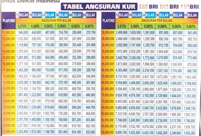 Berapa lama proses pencairan KUR BRI 2025?