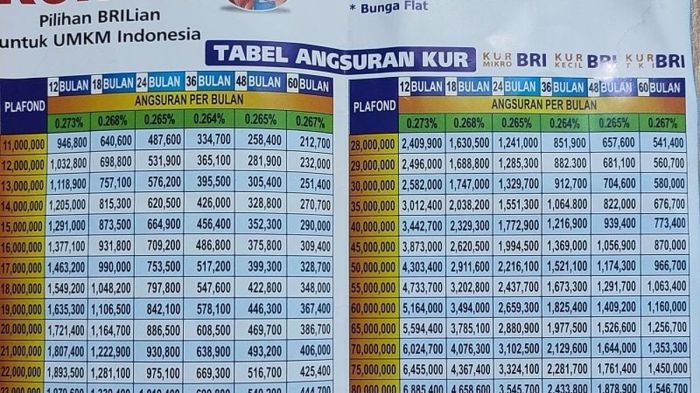 Apakah Ada Simulasi Angsuran Kur Bri Selain Tabel Kur