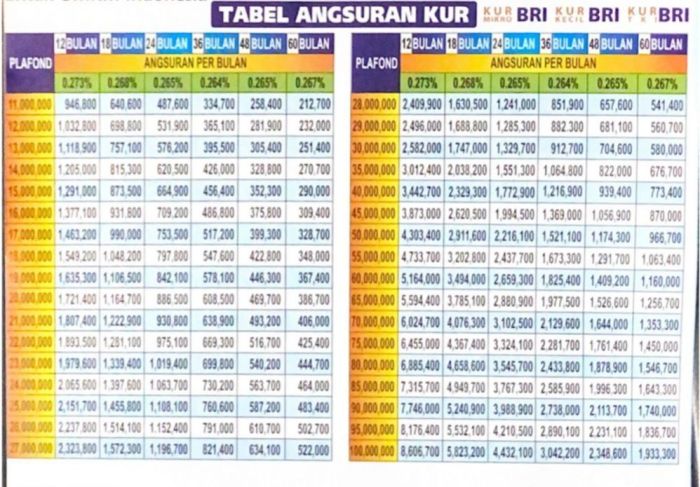 Apakah tabel KUR BRI 2025 menunjukkan tren tenor KUR?