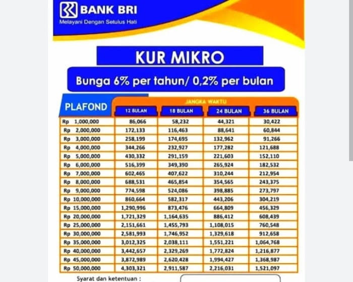 Bagaimana cara menjaga agar riwayat angsuran KUR BRI 2025 tetap baik?