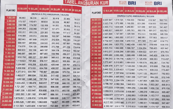 Tabel Simulasi Kur Bri Plafond Juta Kur