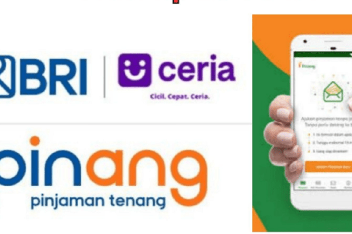 Perbedaan KUR Mikro dan KUR Kecil BRI 2025