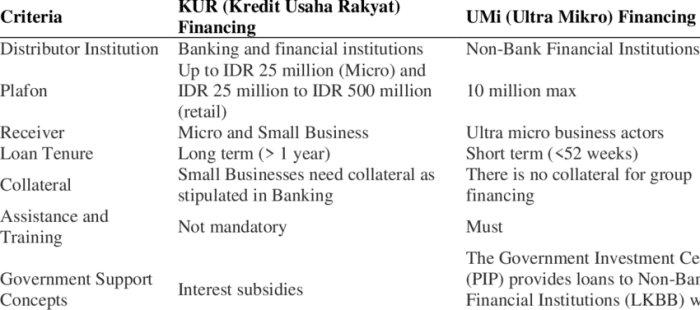 Apa perbedaan KUR untuk profesional dengan kredit usaha rakyat lainnya?