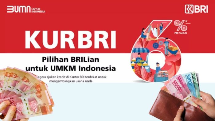 KUR BRI 2025 untuk usaha budidaya jamur