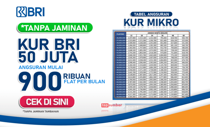 Apakah KUR BRI 2025 bisa dicicil bulanan