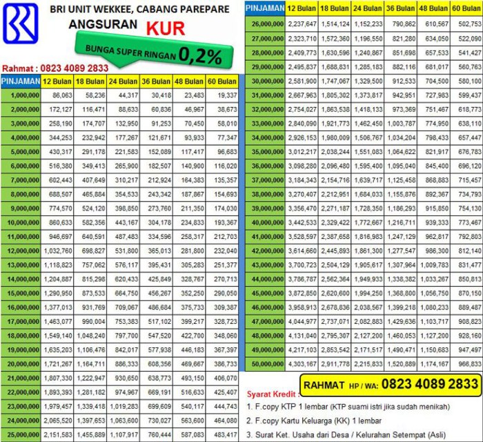 Apakah ada KUR Khusus BRI 2025?