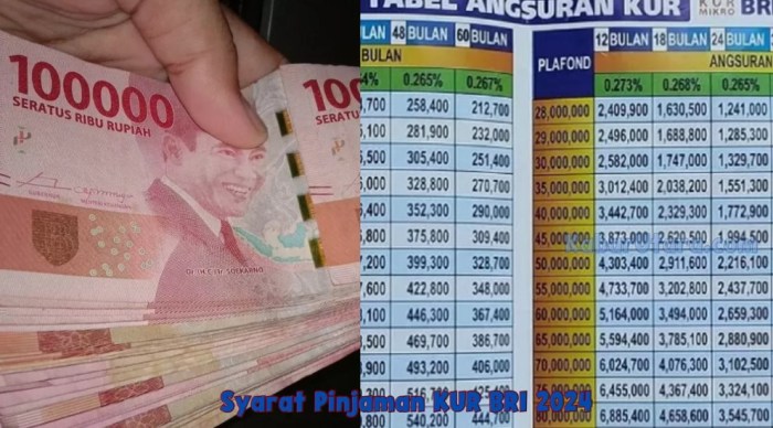 Berapa angsuran KUR BRI 2025 untuk pinjaman 10 juta?