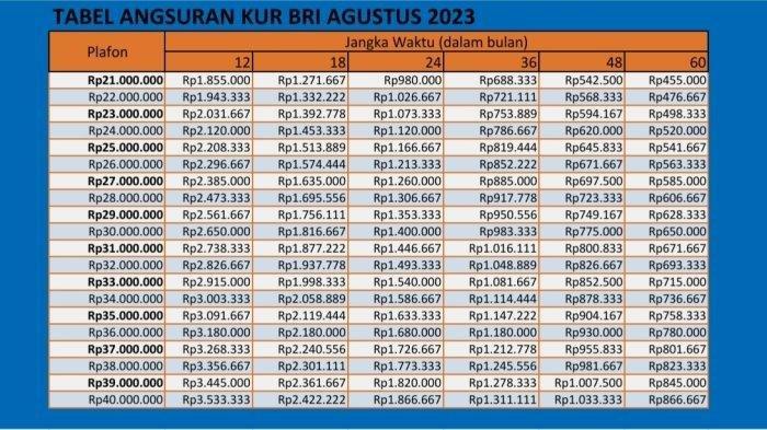 Pinjaman KUR BRI 2025 suku bunga rendah untuk usaha perikanan