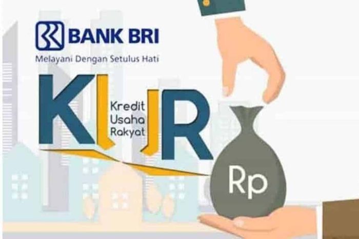 Apakah ada program KUR khusus untuk dokter atau pengacara?