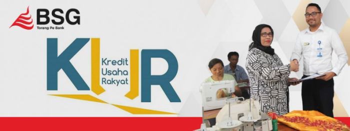 Bank apa saja yang menyediakan KUR untuk profesional?