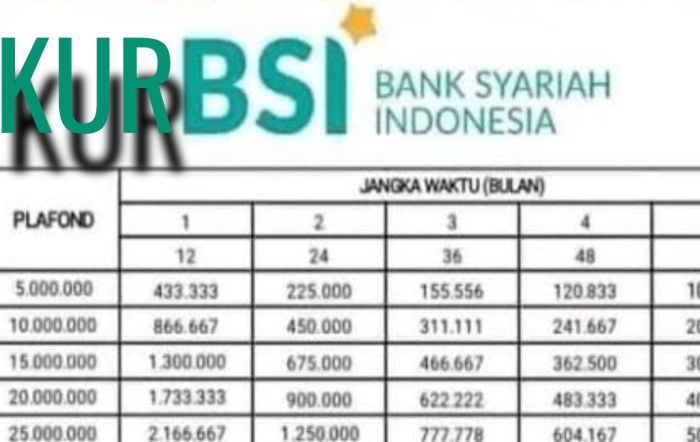 KUR BSI Februari 2025 Tolikara