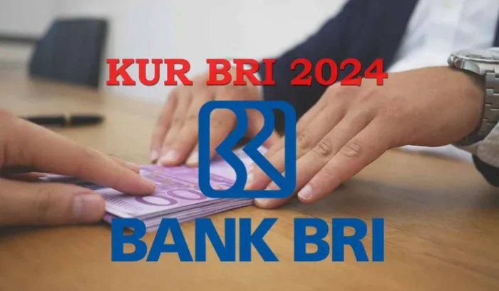 KUR BRI Februari 2025 Dogiyai