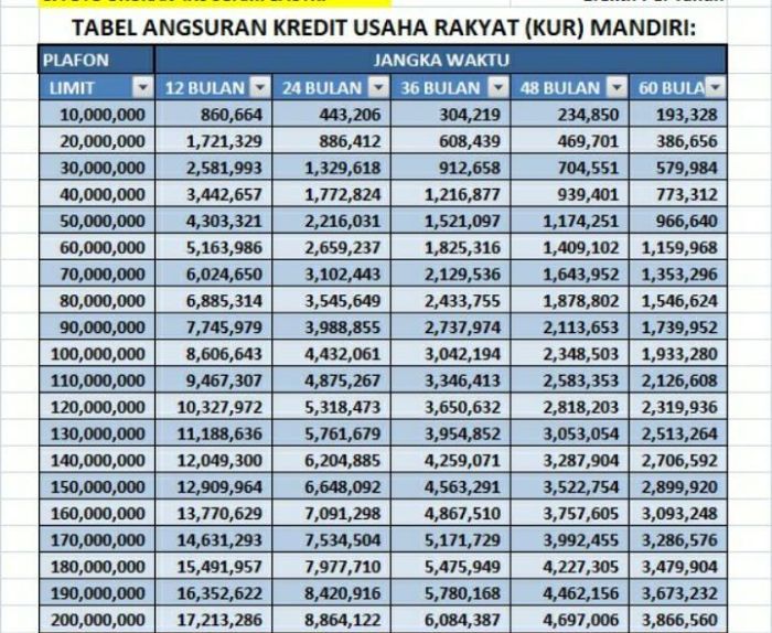 KUR Bank Mandiri Februari 2025 Kolaka Timur